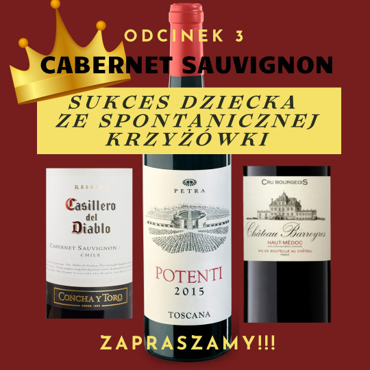 3. Cabernet Sauvignon sukces dziecka ze spontanicznej krzyżówki